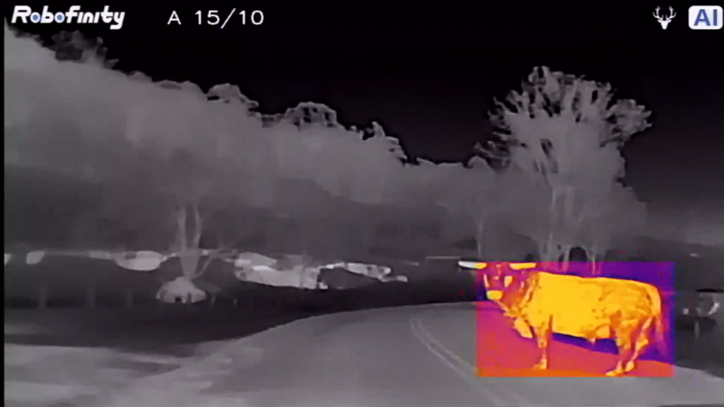 Thermal Imaging