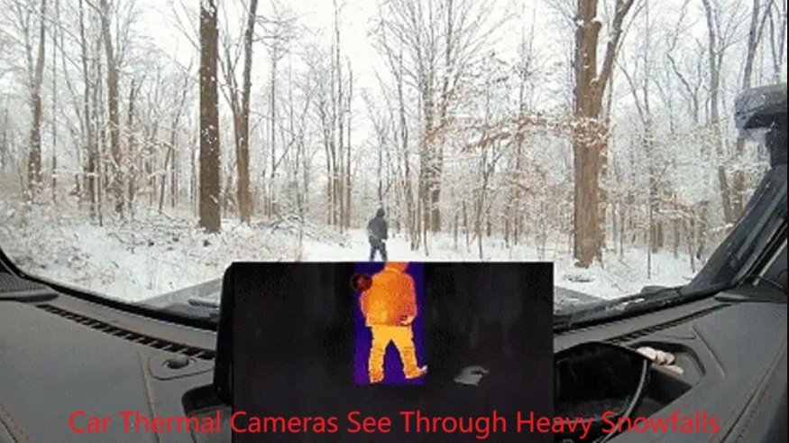 Thermal Imaging