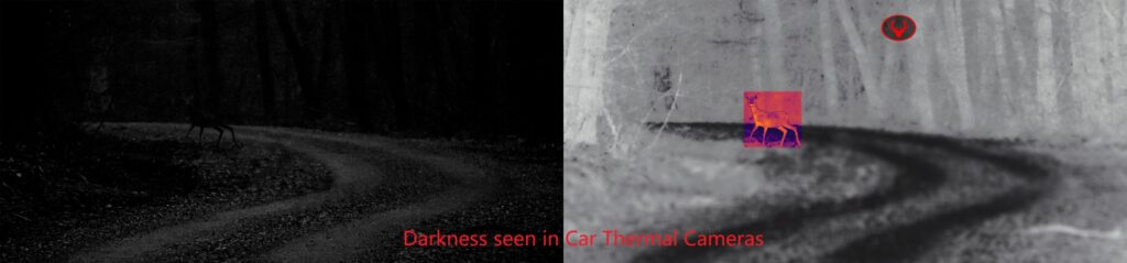 Thermal Cameras