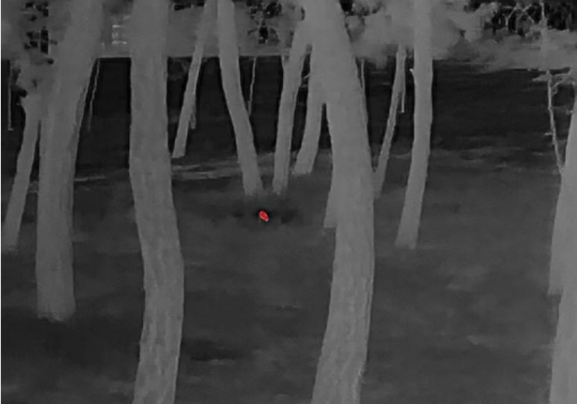 Car Thermal Night Vision
