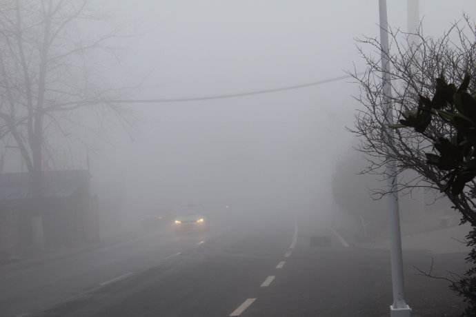 safe driving in fog