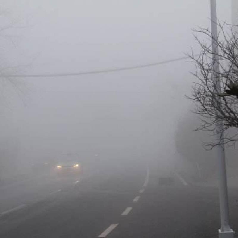 safe driving in fog