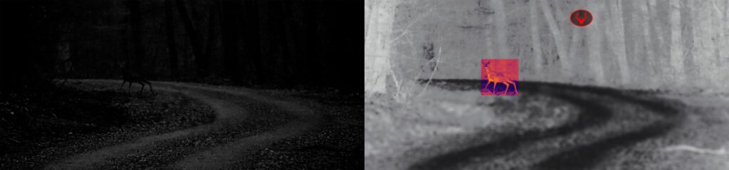 deer run in front of cars