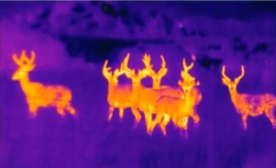 thermal imaging obstacle detection