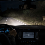Driver’s view of a deer on a rural road at night in headlights