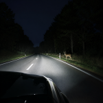 Deer standing by a dark forest road at night, lit by car headlights