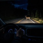 Deer crossing a dark forest road at night, seen from a car dashboard