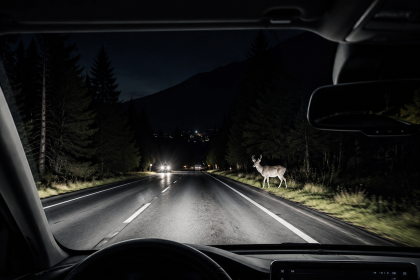 Car night vision camera showing a deer crossing a dark forest road at night