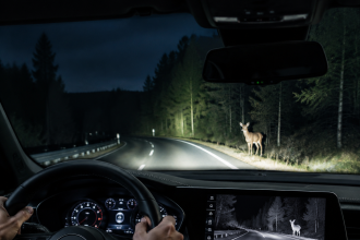 Driver using night vision to spot a deer on a dark forest road