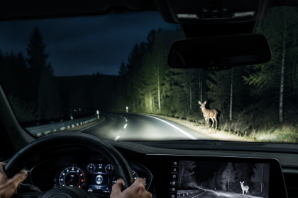 Driver using night vision to spot a deer on a dark forest road