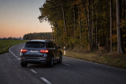 SUV driving on a scenic forest road at sunset in autumn
