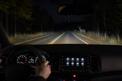 Vehicle thermal night vision display detecting pedestrians and animals on a dark road