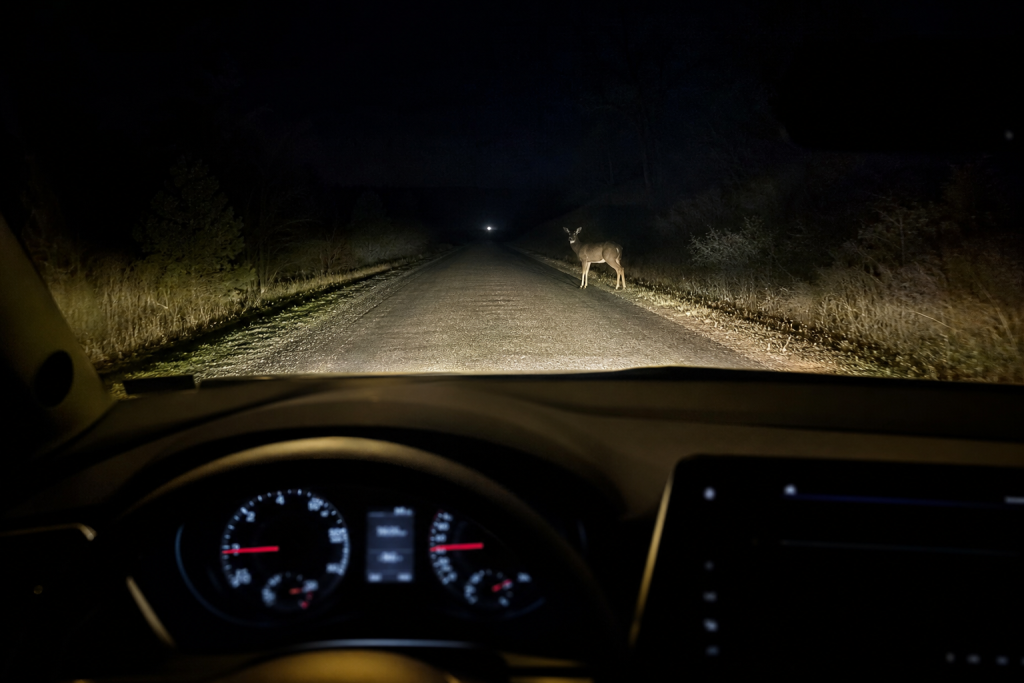 Car thermal night vision display detecting a pedestrian on a dark road