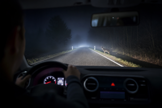 Automotive thermal night vision display detecting a pedestrian on a dark road
