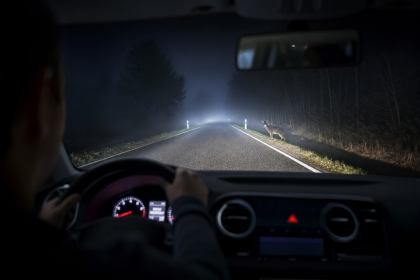 Automotive thermal night vision display detecting a pedestrian on a dark road