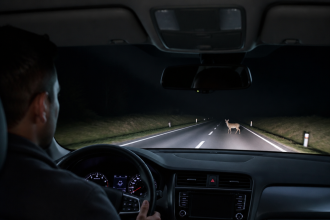 Thermal night vision camera display detecting a pedestrian and vehicle on a dark road