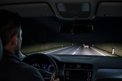 Thermal night vision camera display detecting a pedestrian and vehicle on a dark road