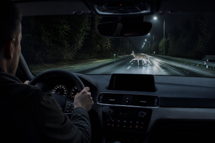 Thermal night vision camera display in a car showing heat signatures on a dark road