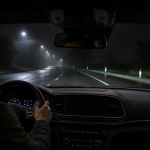 Car thermal night vision display detecting a pedestrian and animal on a dark road